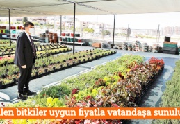 Üretilen bitkiler, uygun fiyatla vatandaşa sunuluyor